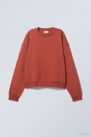 Burgundy Weekday Essence Standard Sweatshirt | FSBS7530