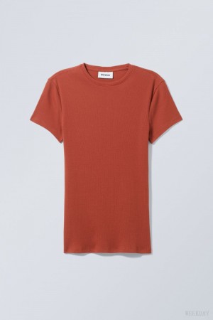 Dark Orange Weekday Close Fitted Rib T-Shirt | ZMEE9118