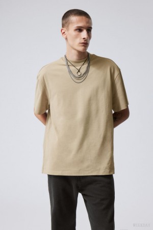 Dusty Mole Weekday Great Heavyweight T-shirt | IOZY7201