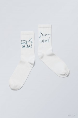 Extrovert Kitten Weekday Graphic Sport Sock | BQXO3210