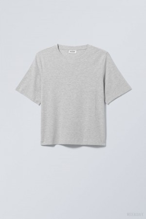 Light Grey Weekday Perfect Boxy T-shirt | VRWX7390