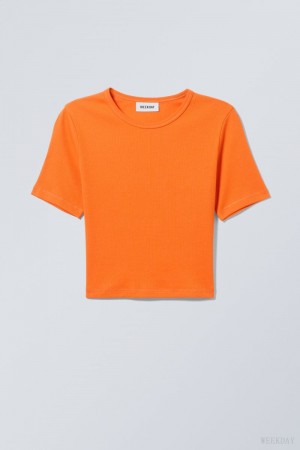 Orange Weekday Mini Rib Crop Top | OEOQ9892