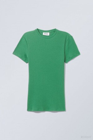 Turquoise Green Weekday Close Fitted Rib T-Shirt | AFEM9844