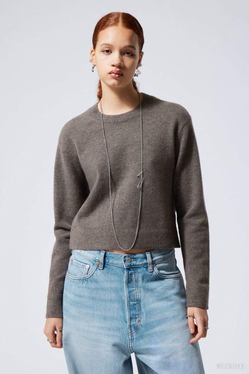 Dark Mole Weekday Ayla Sweater | SZJR7030