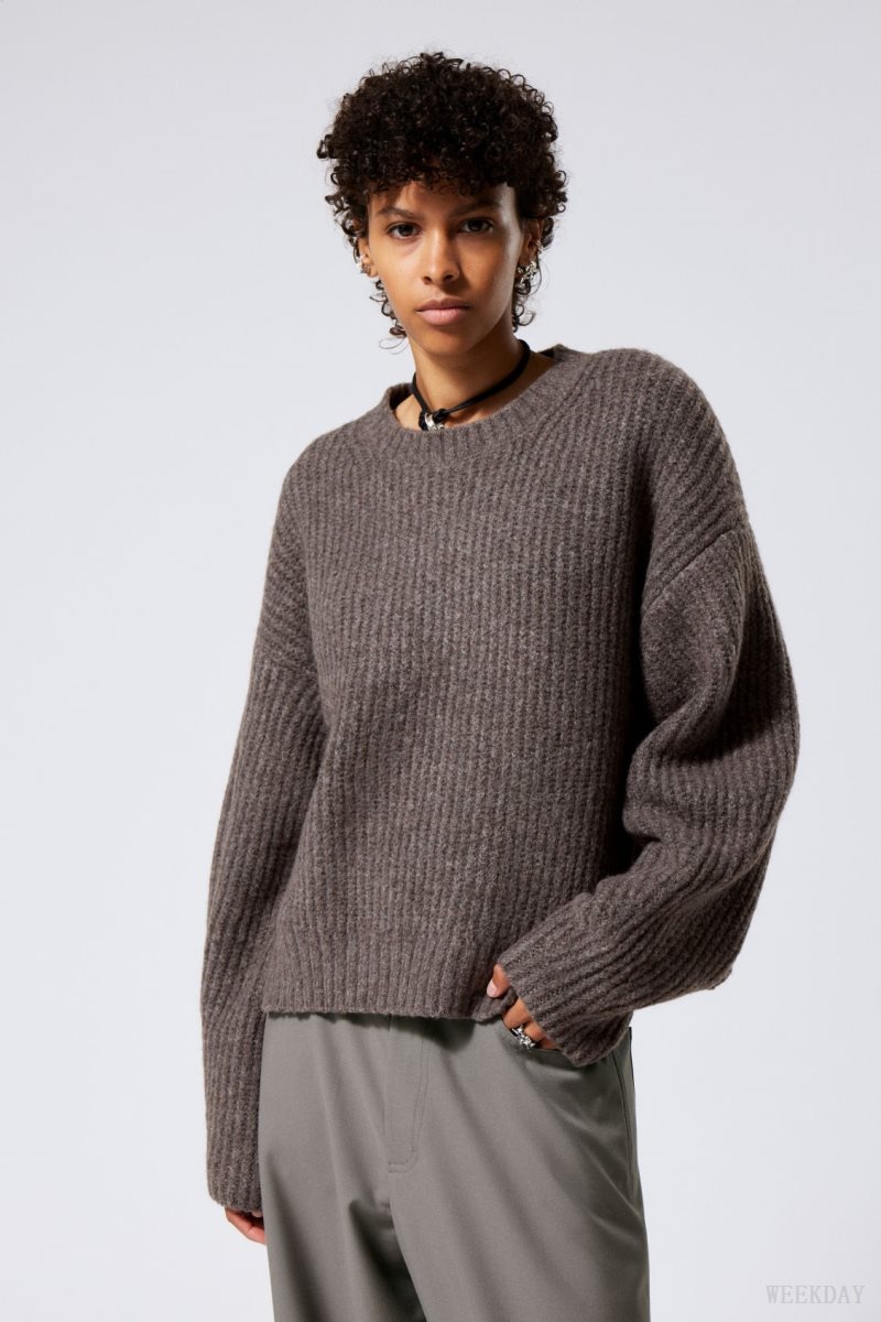 Dark Mole Weekday Ivy Knit Sweater | LEGR8985