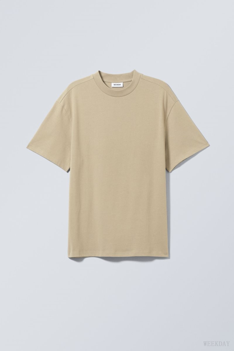 Dusty Mole Weekday Great Heavyweight T-shirt | IOZY7201