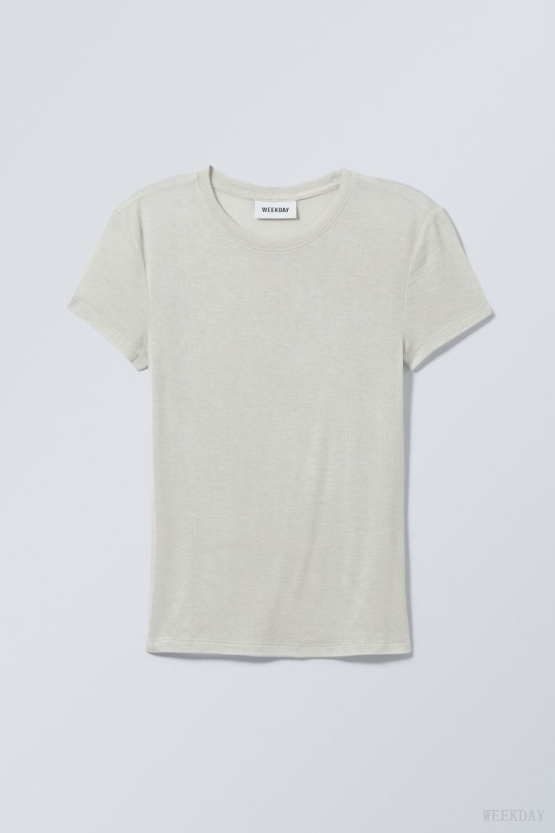 Dusty Mole Weekday Soft Sheer Fitted T-shirt | OWDS8993