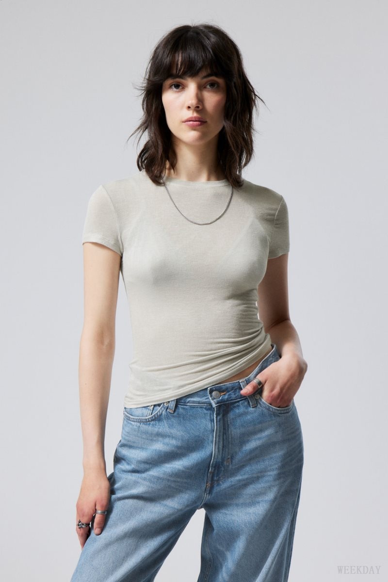 Dusty Mole Weekday Soft Sheer Fitted T-shirt | OWDS8993