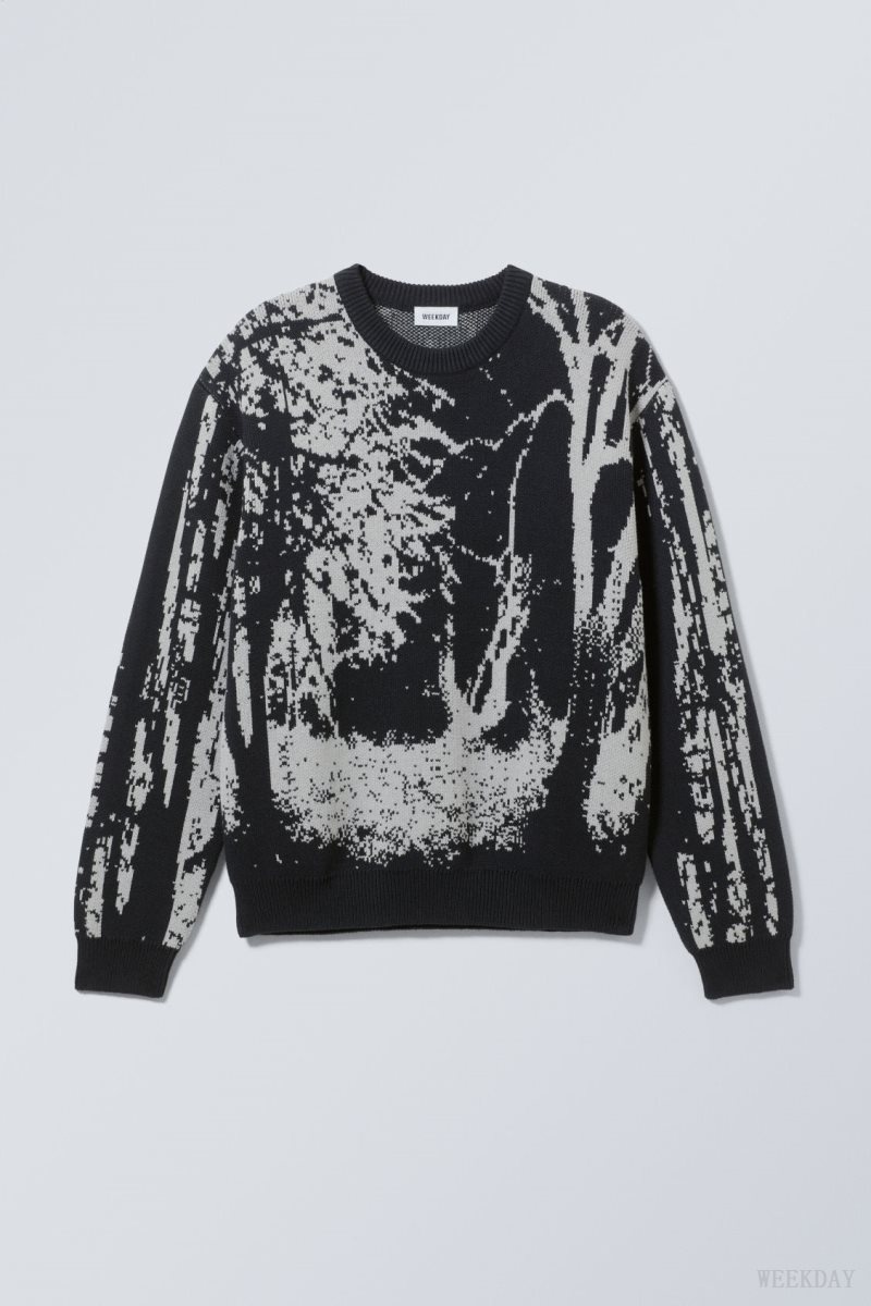 Forest Weekday Fabian Graphic Sweater | WVST3088