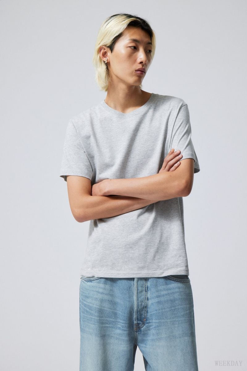 Grey Weekday Standard Midweight T-shirt | FPIS9555