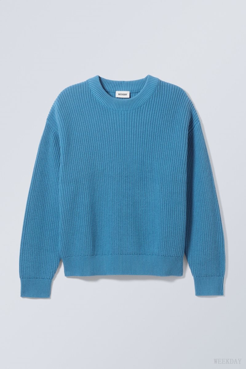 Light Blue Weekday Daniel Regular Sweatshirt | SXRJ3211