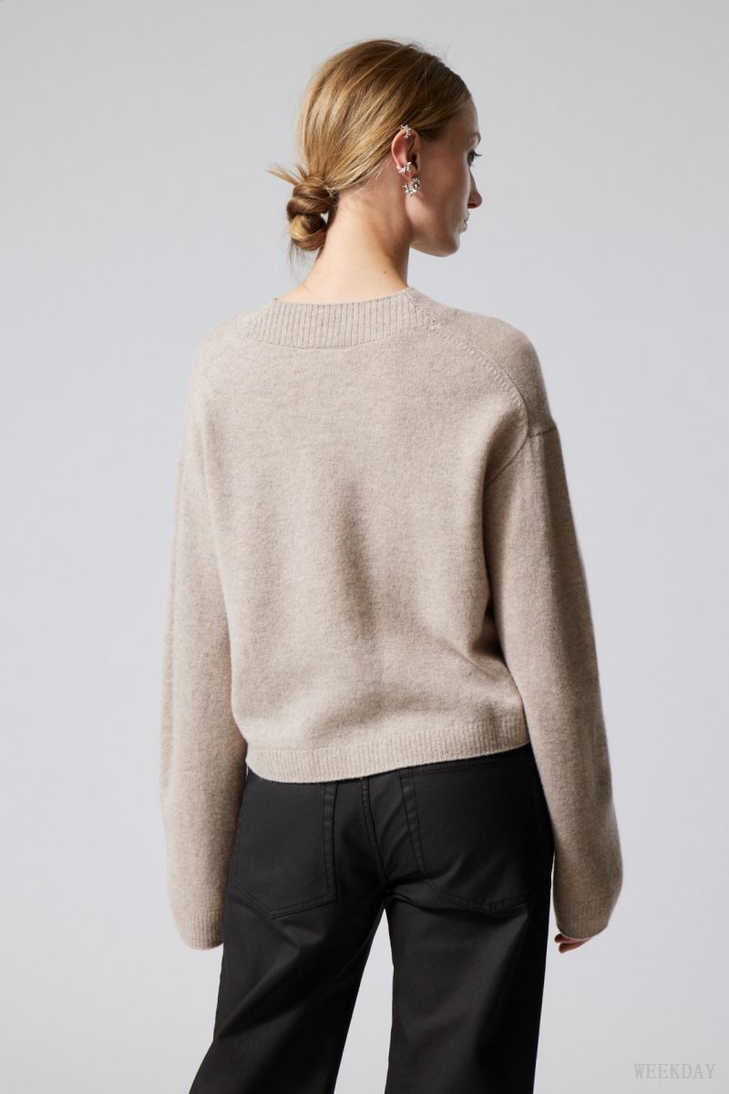 Light Mole Weekday Reese V-neck Wool Sweater | JZVW1681