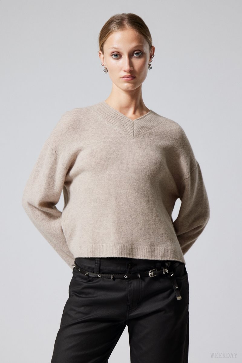 Light Mole Weekday Reese V-neck Wool Sweater | JZVW1681