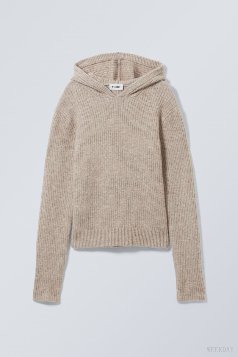 Light Mole Weekday Zuri Knit Hoodie | XVVW4863