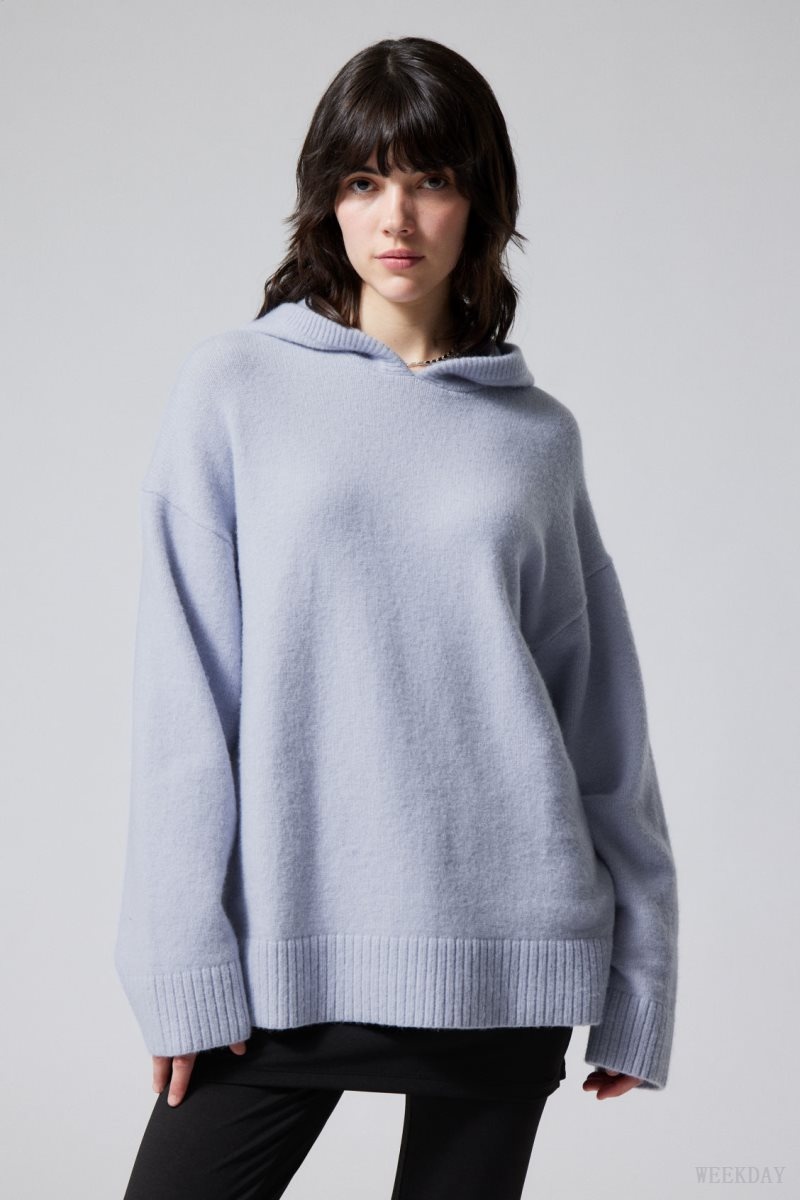 Light Purple Weekday Marla Oversized Soft Knit Hoodie | ULJH8563