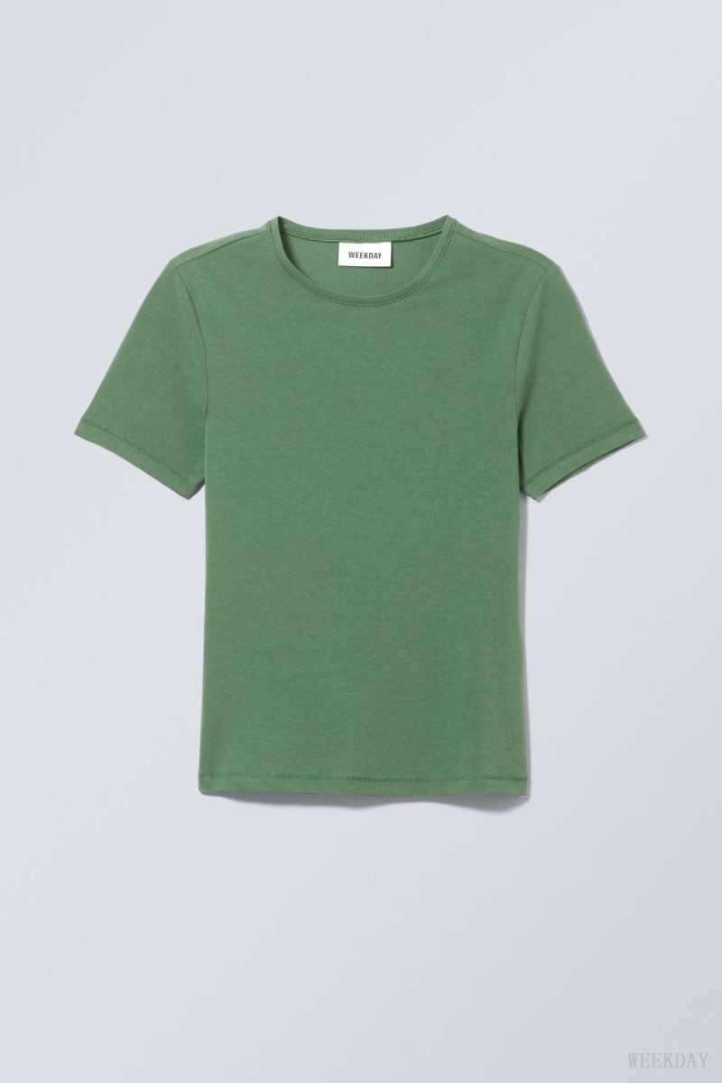 Turquoise Green Weekday Slim Fitted T-shirt | GVGW9260